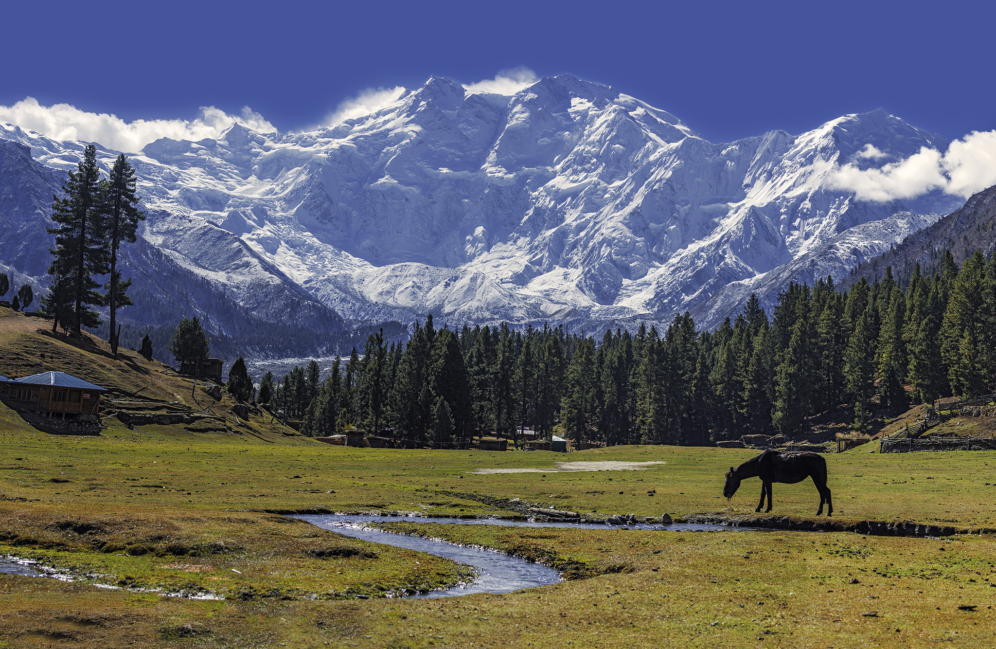 Nanga Parbat pic